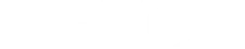 Veton Ili